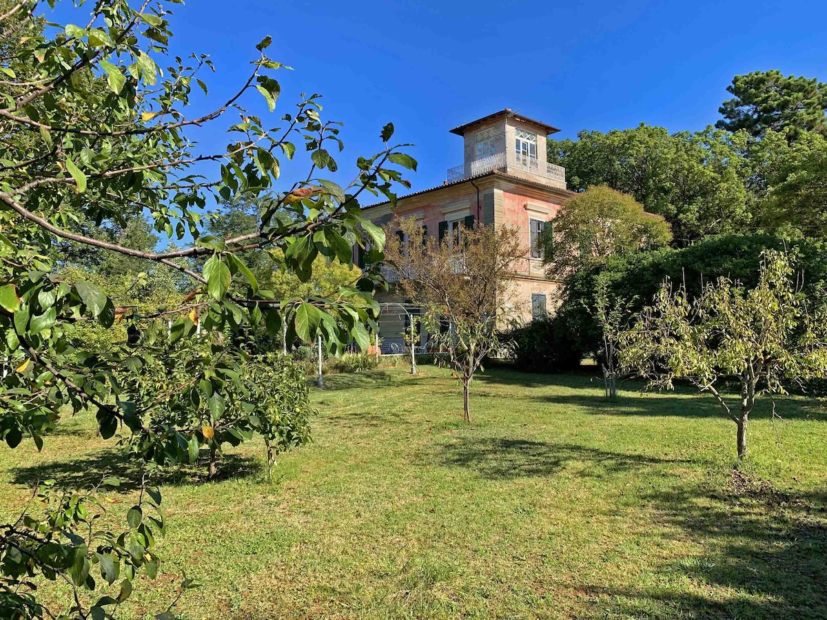 The villa is framed by a spacious garden featuring lush greenery and a variety of trees. The structure's distinct architecture, with a tower and large windows, stands prominently against a clear blue sky, inviting guests to enjoy the serene outdoor space.