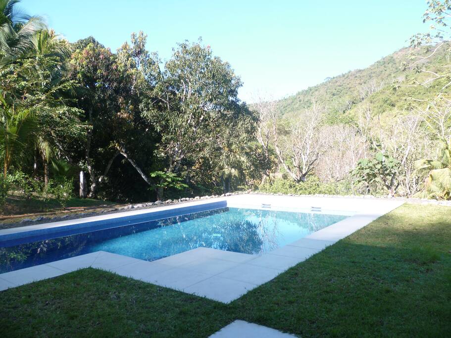Piscine Extérieur