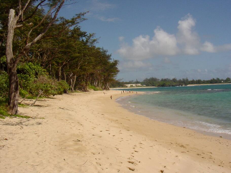 Nearly a mile of perfect tropical beach to walk and play on
