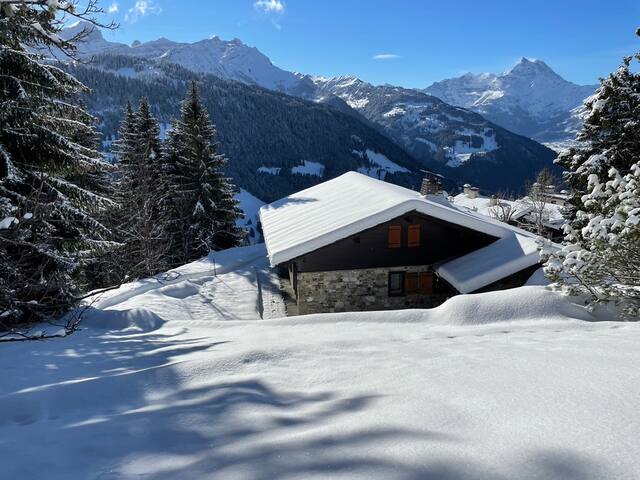 Luxurious Eco-Chalet: Swiss Mountain Escape gallery image 3
