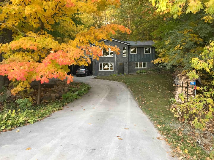 Modernized forest retreat in adventurer's paradise Guest suites for