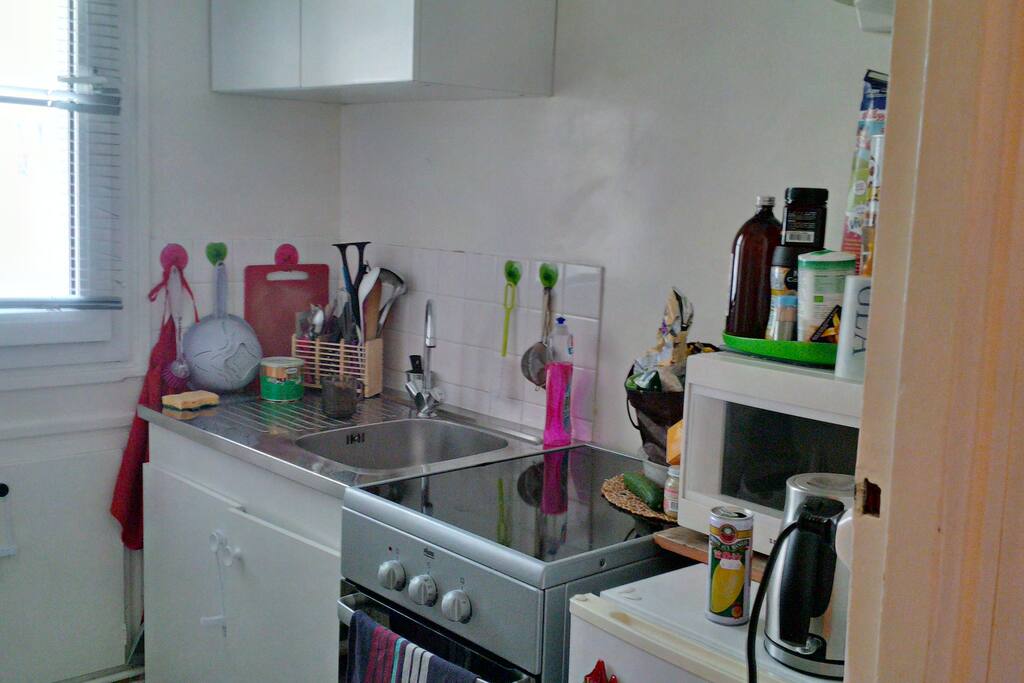 cuisine équipée d'un frigo, micro onde, four, plauqe vitro céramiques.....