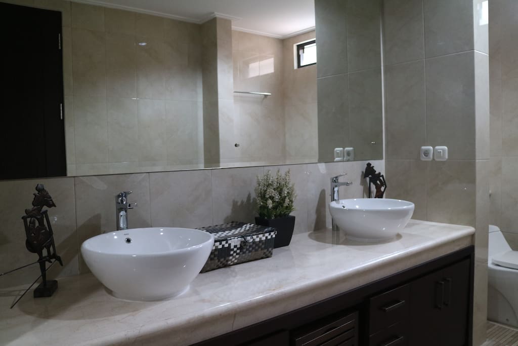 Double sink