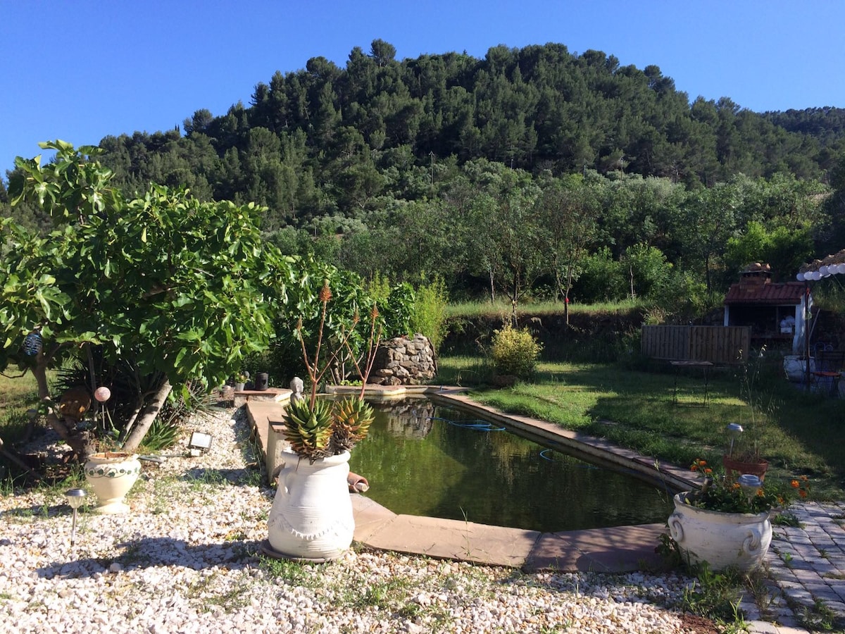 A natural swimming pool is set within a garden featuring lush greenery and flowering plants. The surrounding landscape includes a hillside covered in trees, while decorative planters and stone features add charm to the outdoor space.