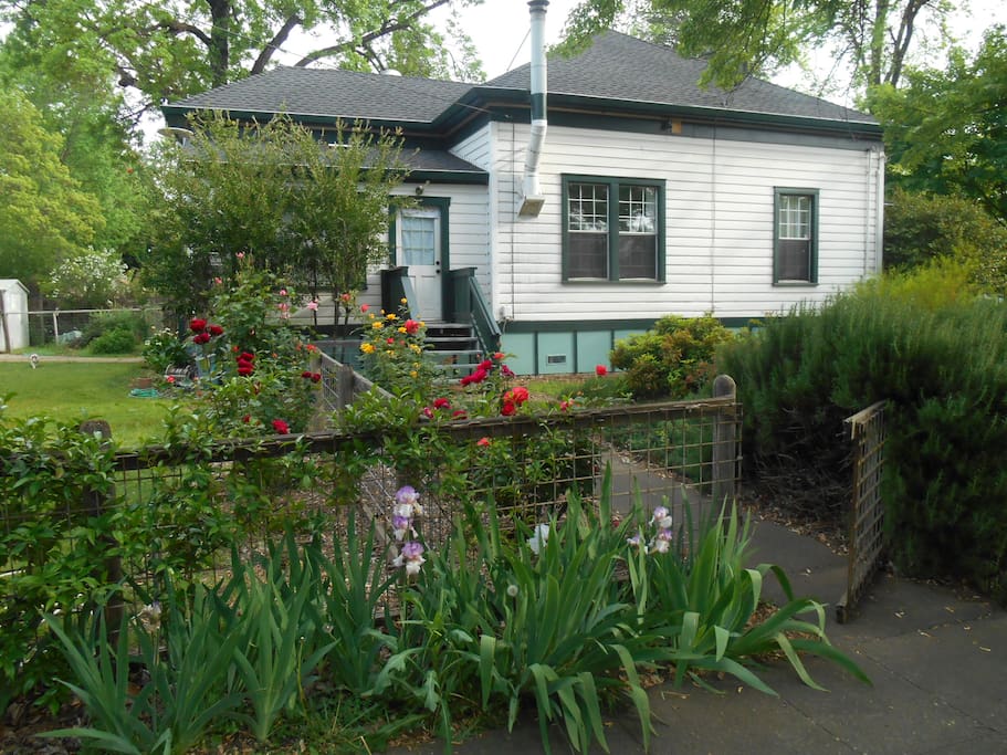 View from 3rd Av. Side & rear yard.