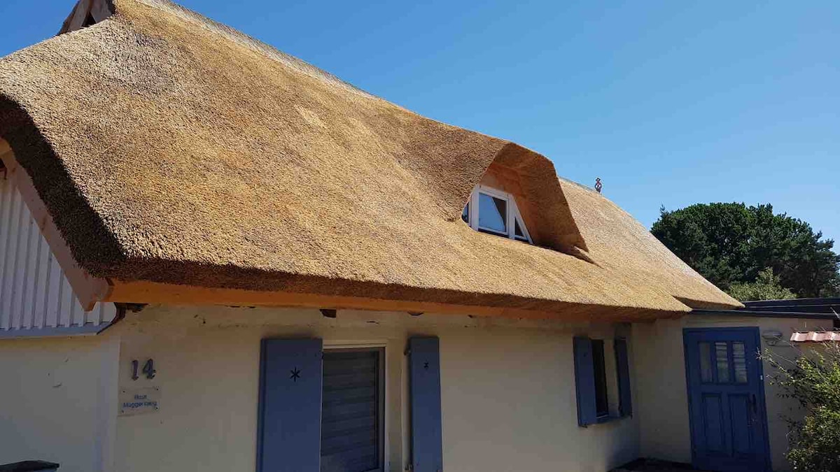 The image showcases a charming thatched-roof house with a light-colored exterior. Blue shutters frame the windows, contributing to a serene aesthetic. The clear blue sky above complements the inviting appearance of the property.