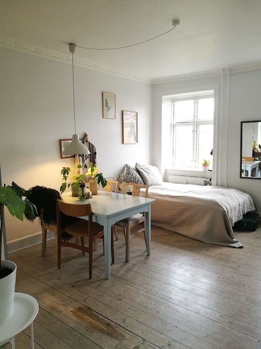 The big room with morning sun