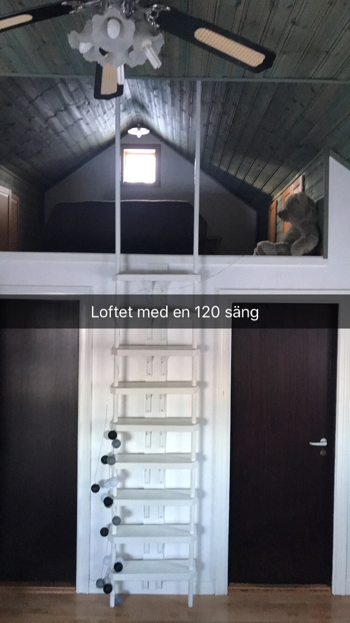 Поткровје со кревет од 120 кревети