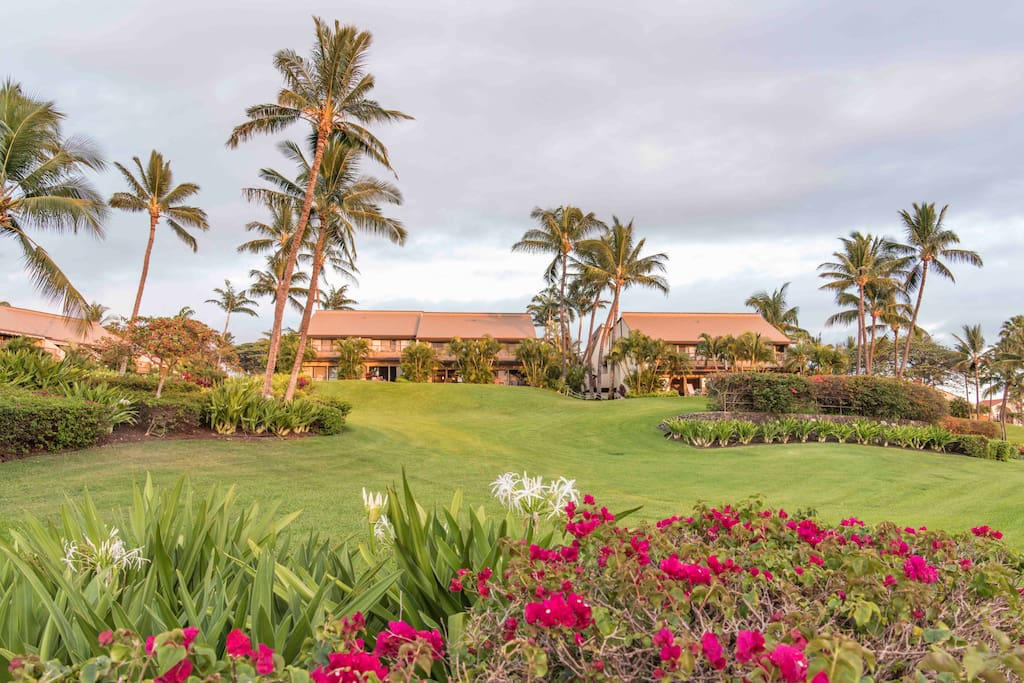 Maui Kamaole Community Landscape