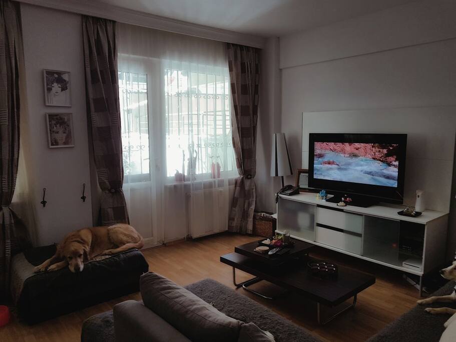 Living room part 2