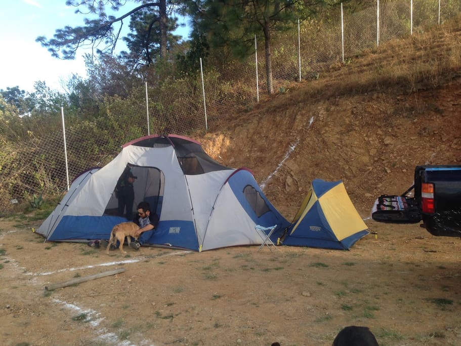También puedes acampar en varias de nuestras áreas designadas