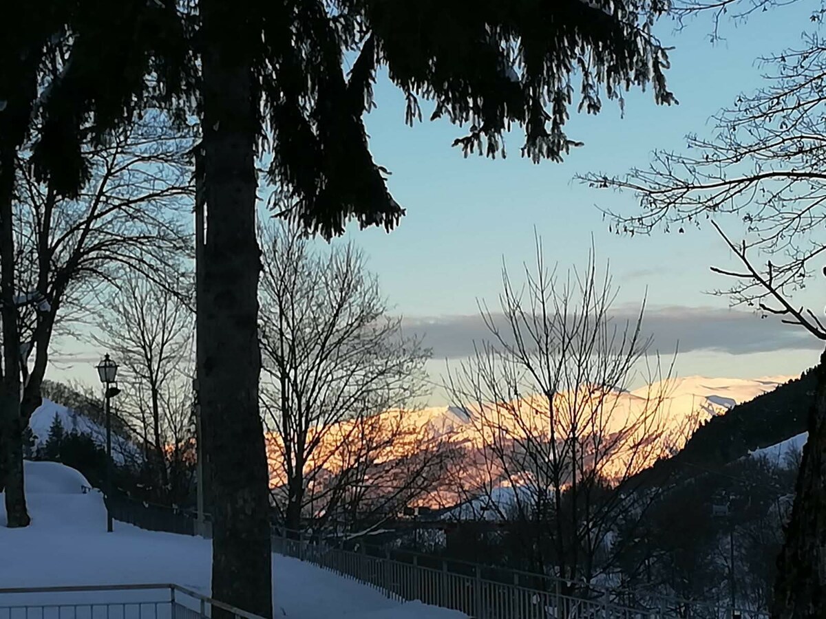 Snow-covered mountains are visible in the distance, illuminated by the soft hues of a sunset. Tall trees frame the scene, while a gentle slope leads towards a pathway. A street lamp stands nearby, enhancing the serene winter landscape.