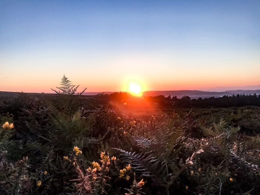 Sunrise at Haytor