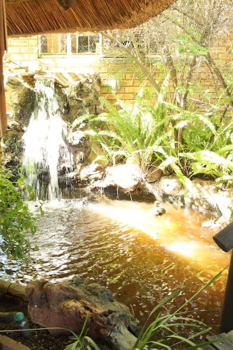 Fish pond
