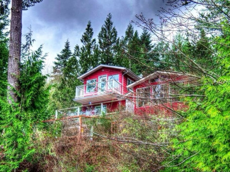 Black Otter Cove