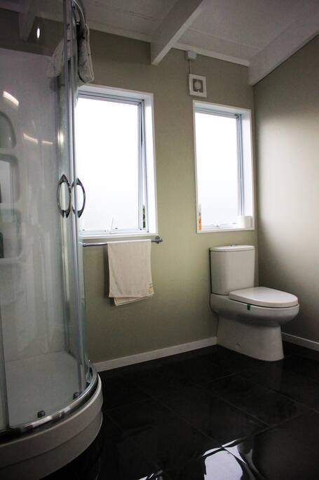 Newly renovated bathroom.