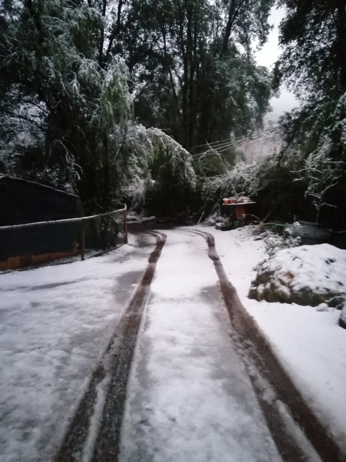 A snow-covered path winds through a wooded area, flanked by trees blanketed in white. The road is partially visible, leading towards a structure on the left, with snow accumulating around the edges. Soft light helps illuminate the serene and tranquil surroundings.