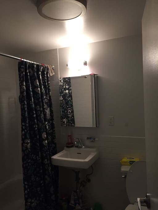 The bathroom