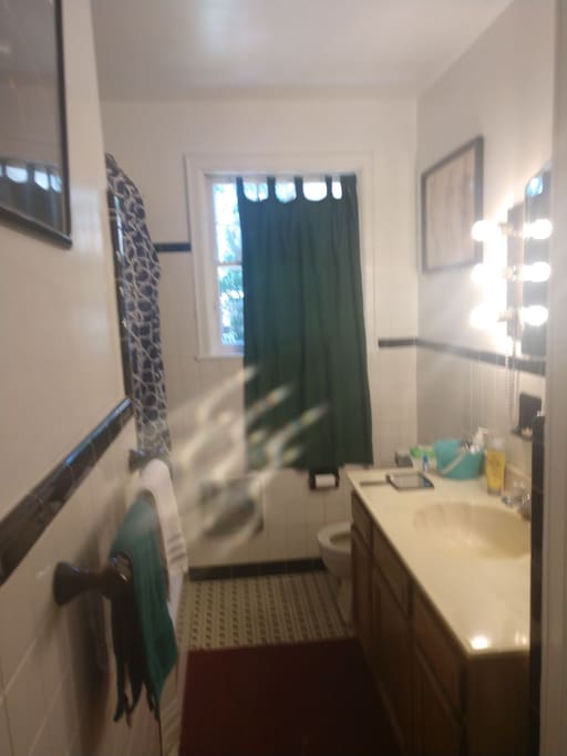 THE BATHROOM.....shower and bathtub