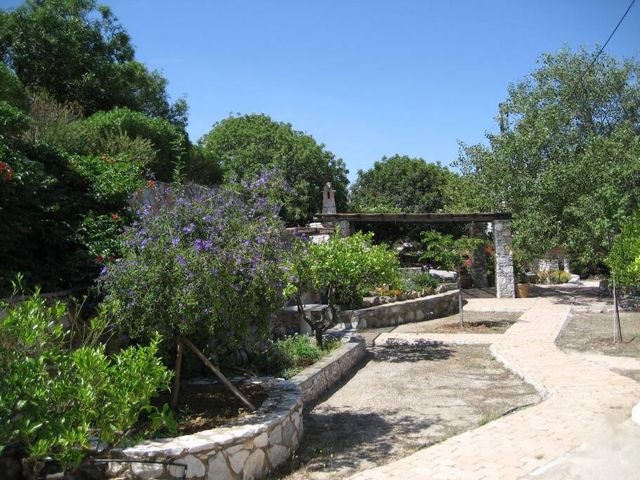 Garden with barbecue and dining area