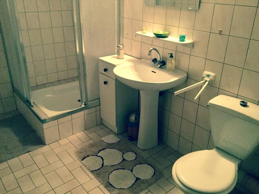 Sanitaires comprenant douche et toilettes