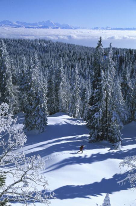 Accès direct aux pistes de ski de fond