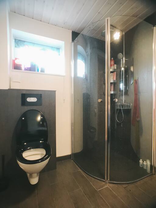 Toilet and shower