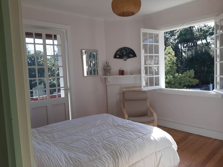 Izba South East Jasmin