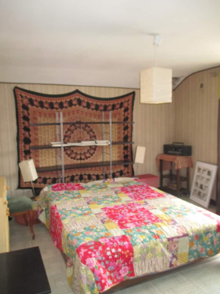 Ოთახი მუსილაკიდან ფეხით 20 წუთის სავალზე — სურათი 1