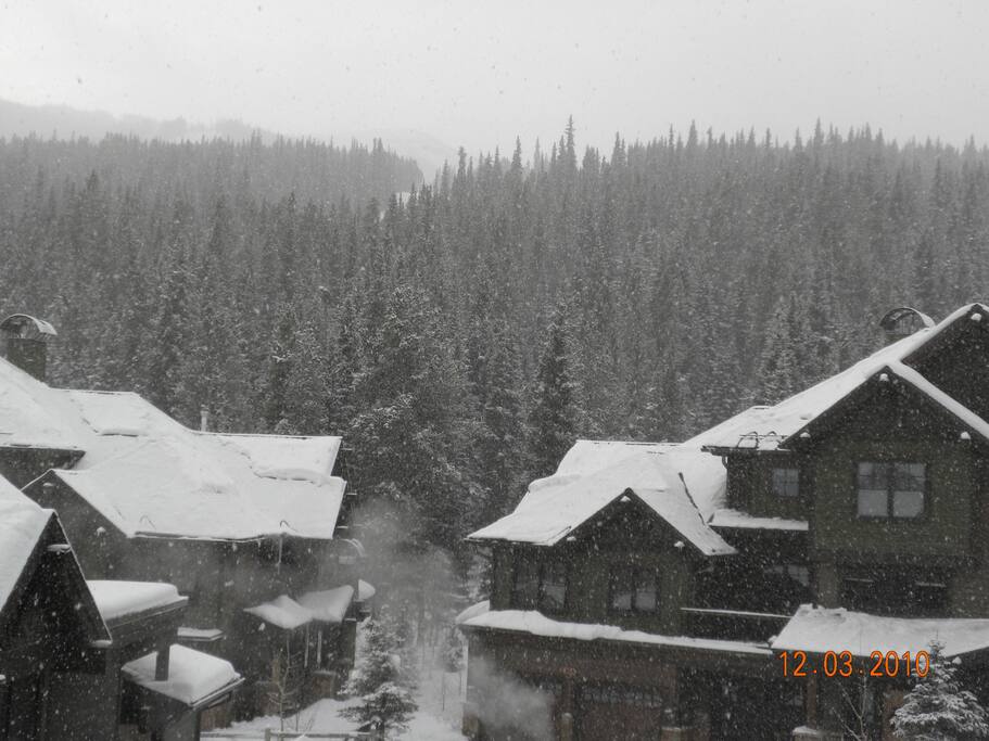 Snowy winter view from the back deck.