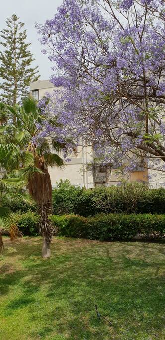 View from the apartment window
