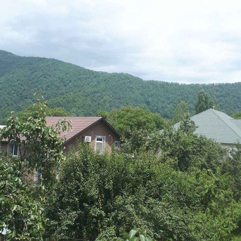 A view of lush green hills is presented, surrounded by trees and foliage. Two houses are visible among the greenery, with one featuring dark siding and air conditioning units. The other house has a light-colored exterior, topped with a patterned roof, against a backdrop of mountains.