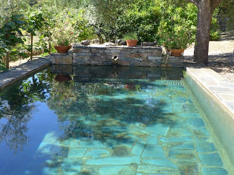 Casa da Charca | Marvão