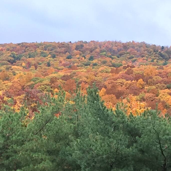 View from deck in the fall