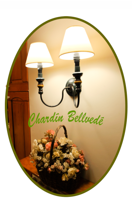 Chardín Bellvedé (vista-bella), tu hogar en Cerler.