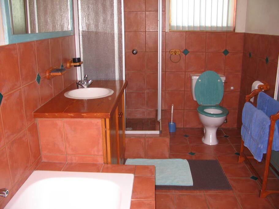 Bathroom with bath and shower