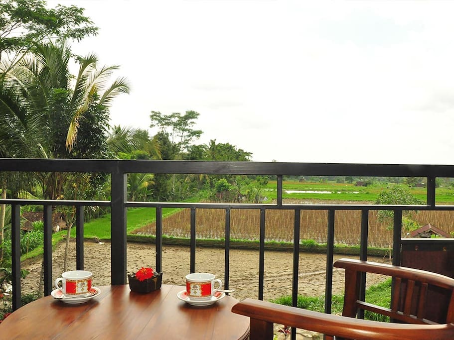 rice view