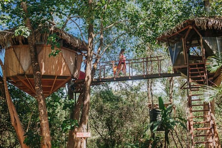 Sacred GeomeTree House