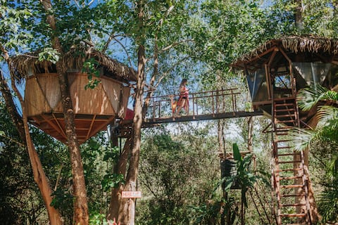 Sacred GeomeTree House