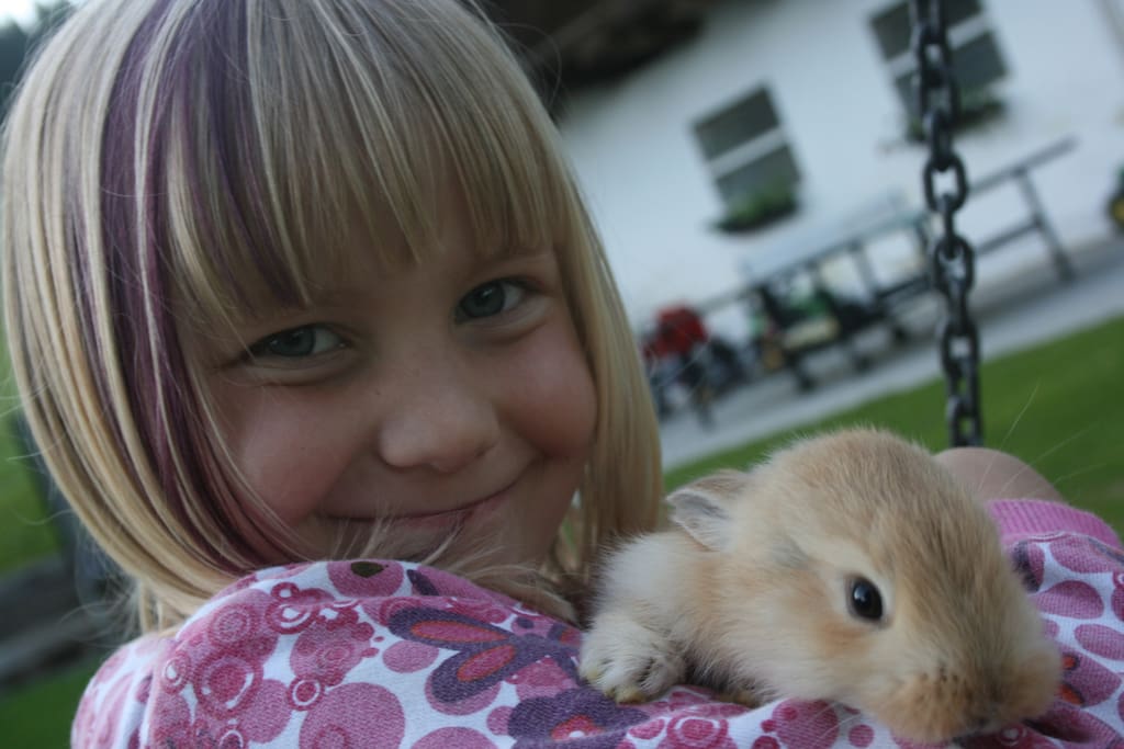 Tiere zum Kuscheln
