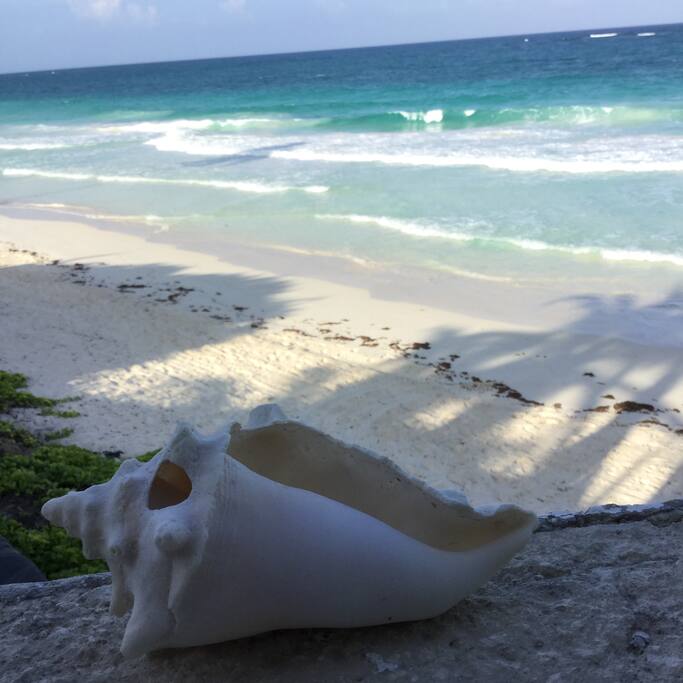 The beach is across the street.