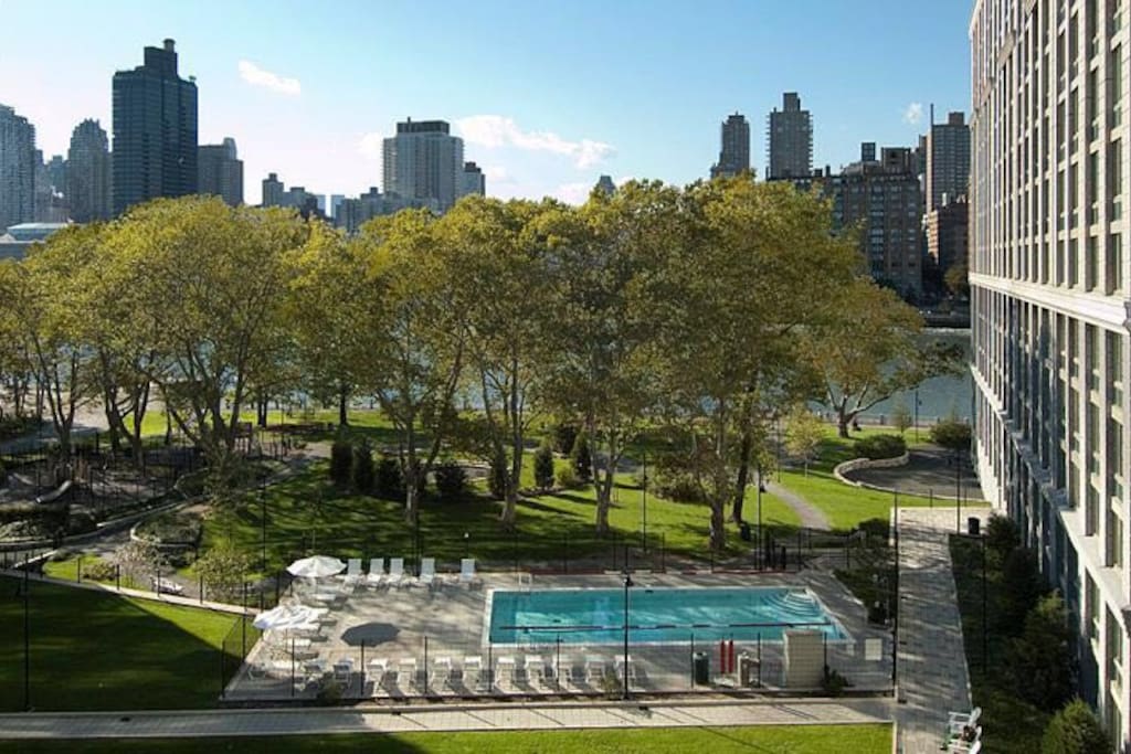 swimming pool