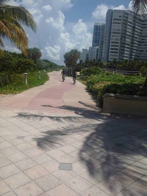 Boardwalk