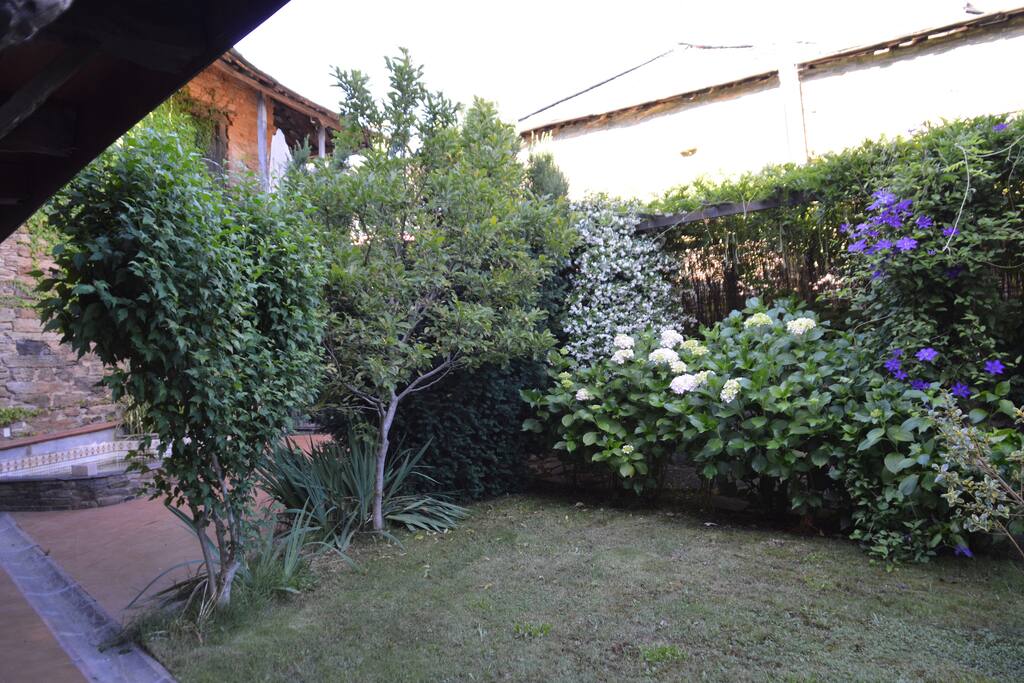 Rincón jardín