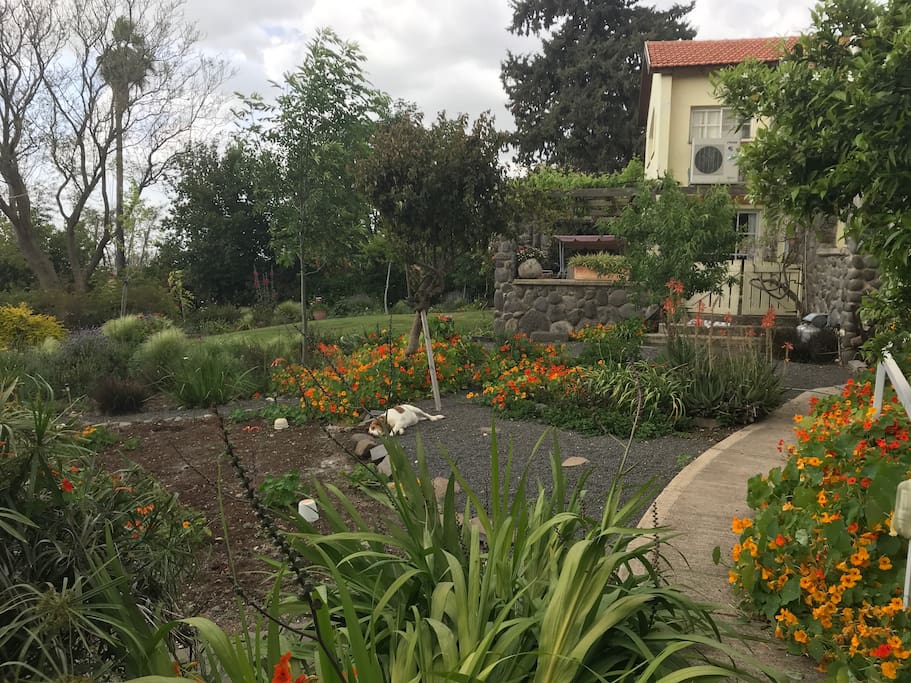 Terrace from the garden.