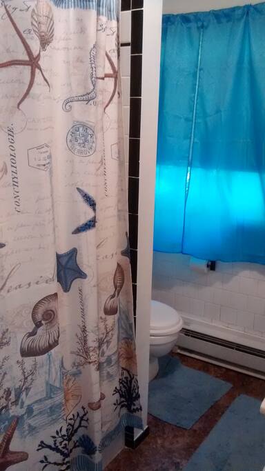 Bathroom shared by both guests, but not used by owners.