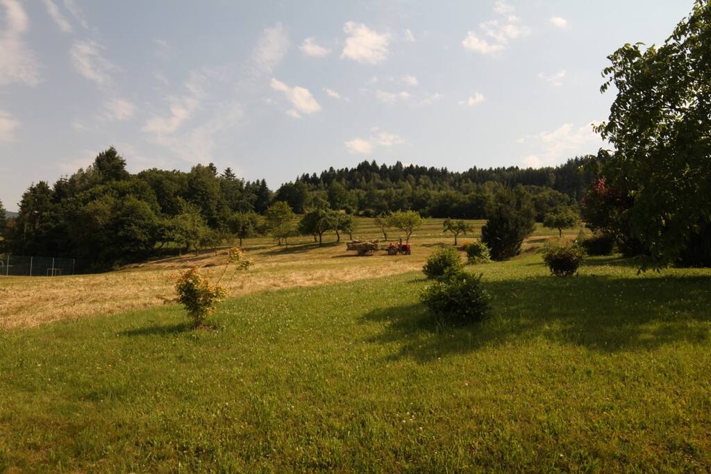 Vue depuis le salon - côté Sud