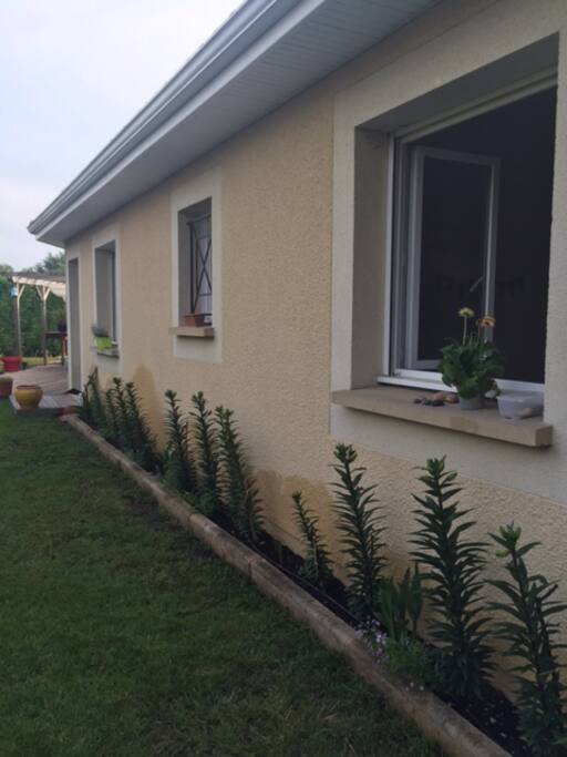 Jardin fleuri