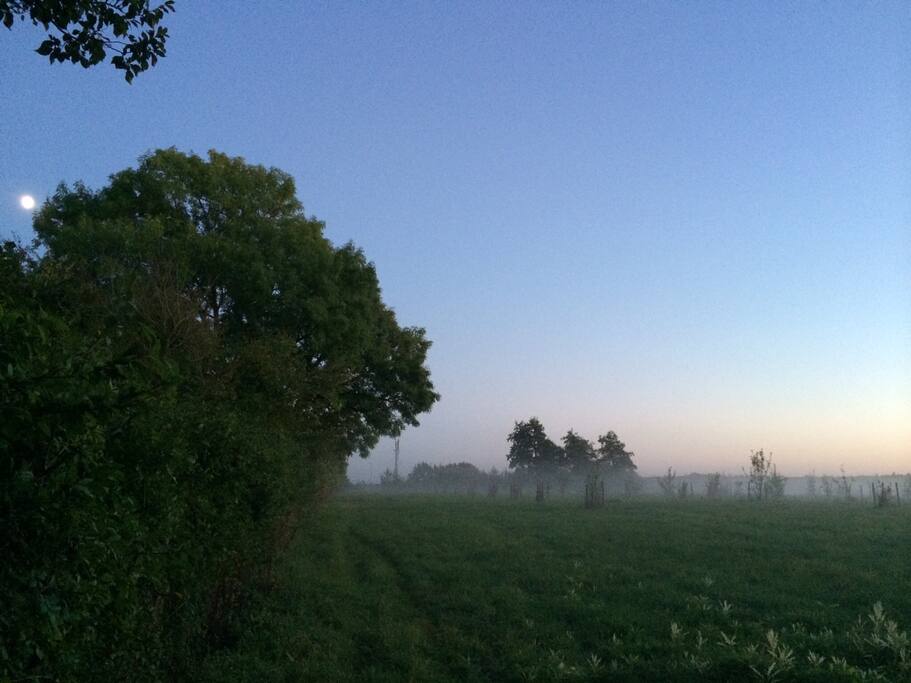 Countryside right behind our garden.