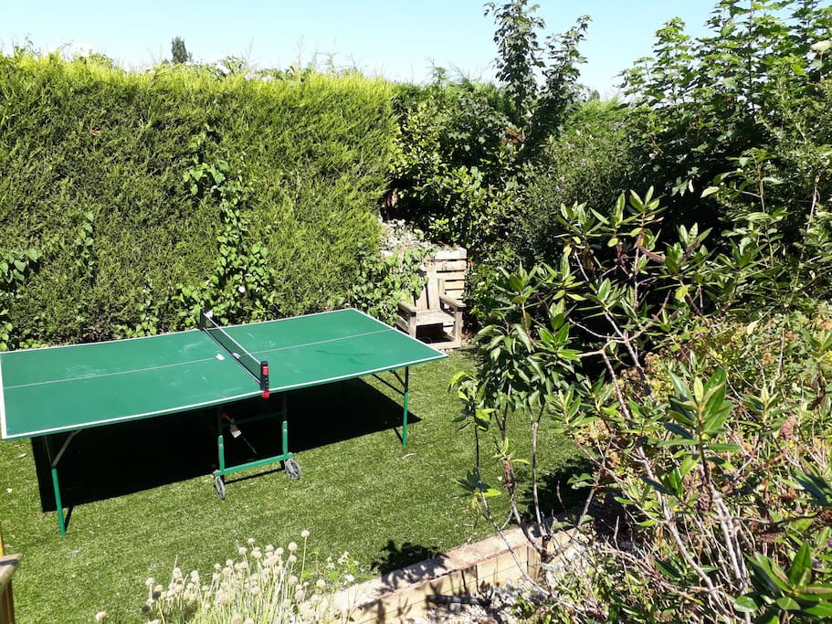 Ping pong table included! Have fun!